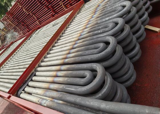 ASTM A249 Carbon Steel Serpentine Coil / Snake Tube Dalam Boiler Reheater