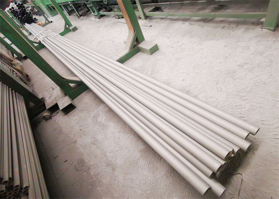ASTM SA213 TP310H SS Seamless Boiler Tubes Pipa Dilas